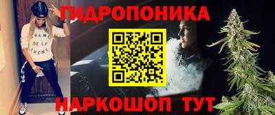 сатива Нальчик