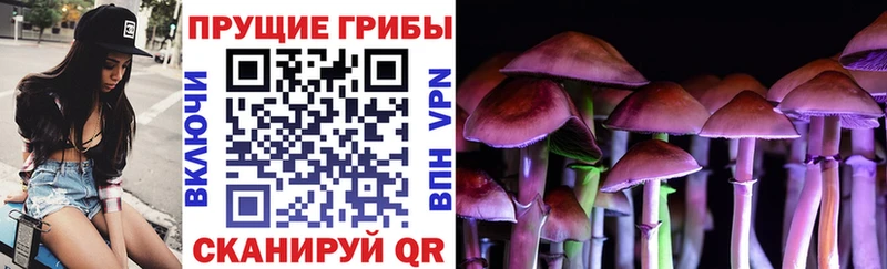 где найти   Фрязино  Галлюциногенные грибы Psilocybe 