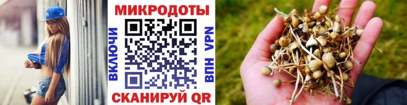 Галлюциногенные грибы прущие грибы Фрязино