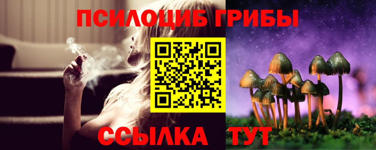Псилоцибиновые грибы MAGIC MUSHROOMS  купить наркотики сайты  Фрязино  Вход с VPN 