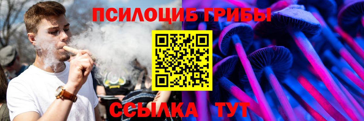 Галлюциногенные грибы Фрязино